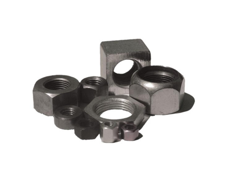 nut image